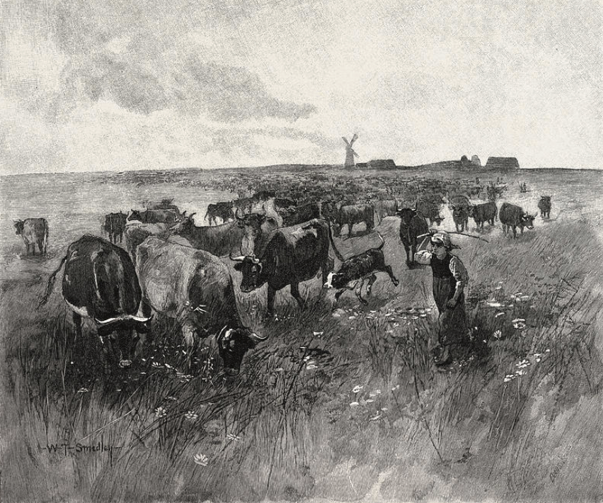 Featured image for “Subjects, Settlers, Citizens: The 1870s Mennonites in Historical Context”